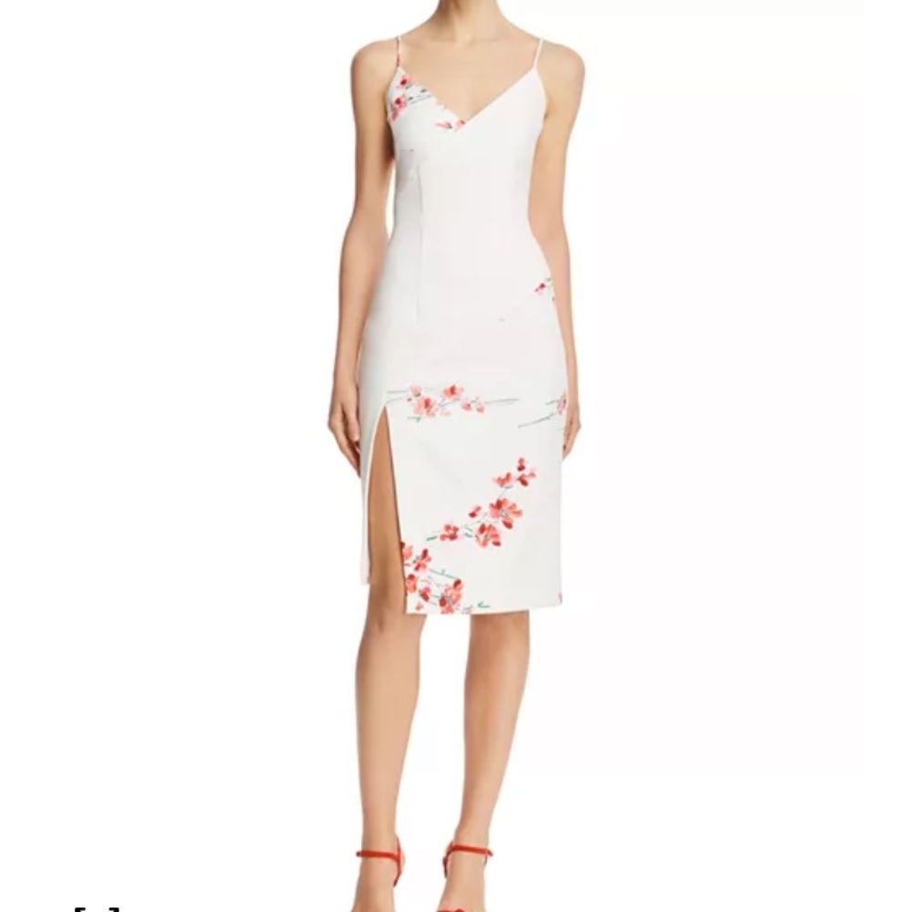 NWT Size 2 Black Halo Deetz floral sheath dress